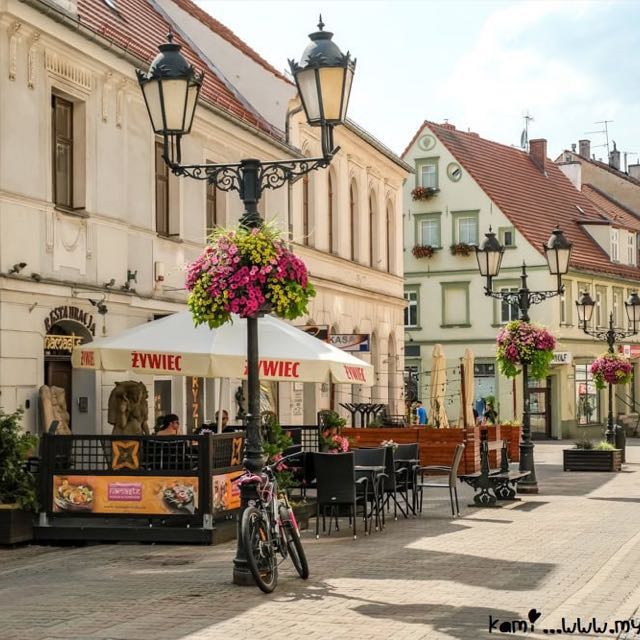 Foto de Erasmus en Zielona Gora 2026/27