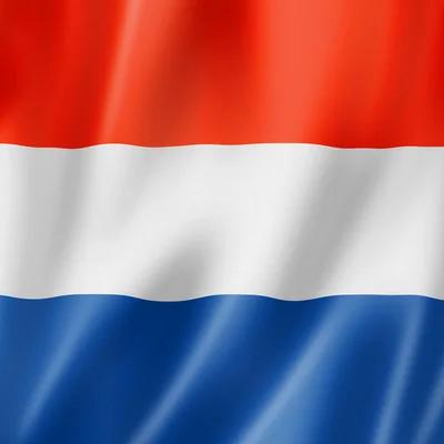 Foto de Erasmus VLC Nederlands