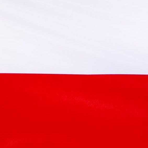 Foto de Erasmus Life Polskie