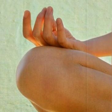 Foto de Yoga Con Bibi Al Aire Libre