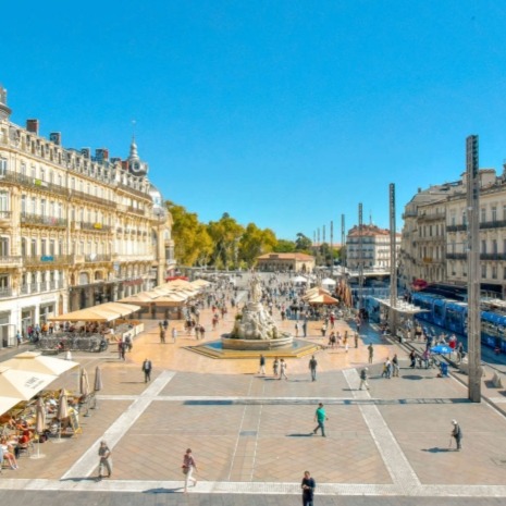 Foto de Erasmus en Montpellier 2026/27